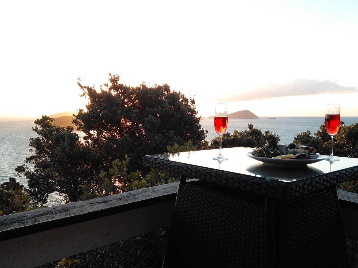 Island View Experience Villa Coromandel Luaran gambar