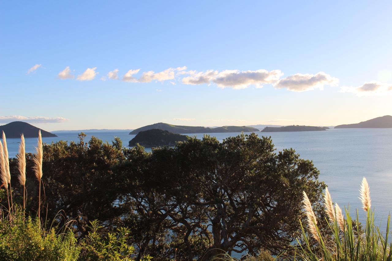 Island View Experience Villa Coromandel Luaran gambar